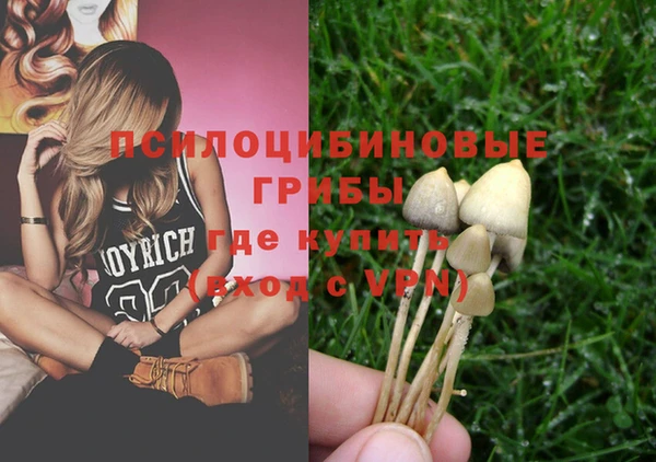 прущая мука Дмитровск