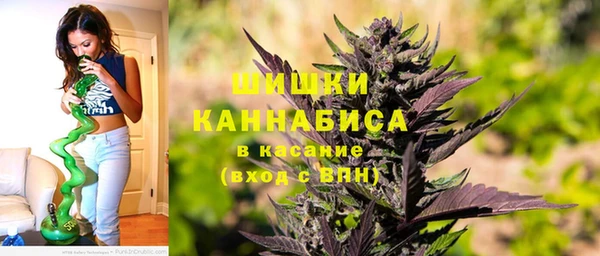 экстази Дмитриев