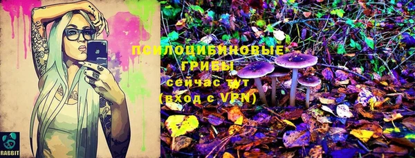 mdpv Дмитров