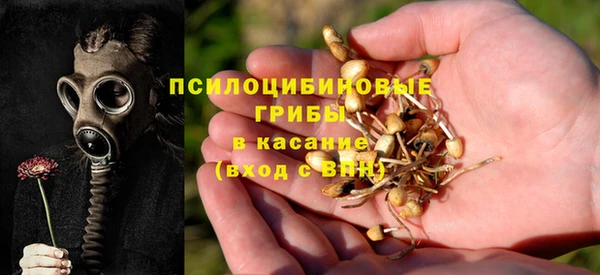 прущая мука Дмитровск